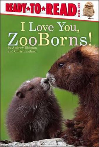 I Love You, Zooborns!: Ready-To-Read Level 1