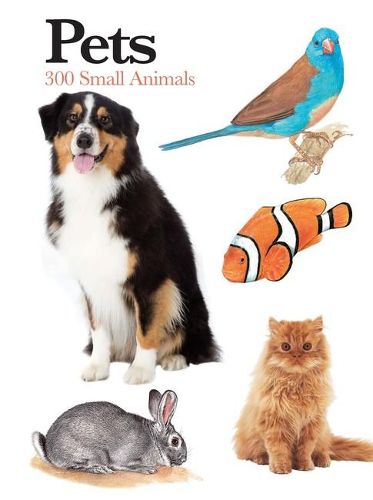 Cover image for Pets: 300 Small Animals