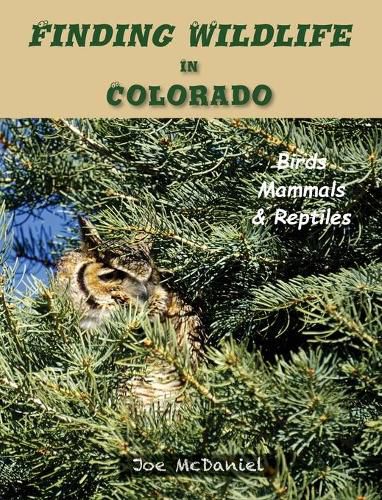 Cover image for Finding Wildlife In Colorado: Birds, Mammals and Reptiles