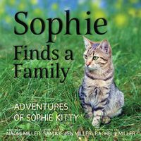 Cover image for Sophie Finds a Family