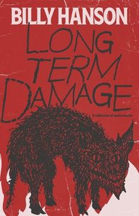 Cover image for Long Term Damage