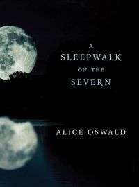 Cover image for A Sleepwalk on the Severn