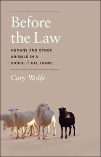 Cover image for Before the Law