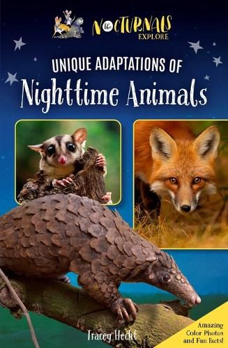 Cover image for The Nocturnals Explore Unique Adaptations of Nighttime Animals: Nonfiction Chapter Book Companion to the Mysterious Abductions