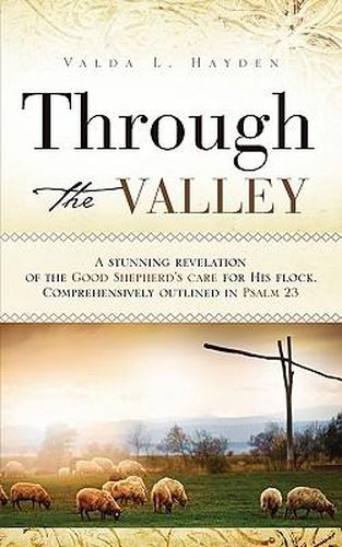 Cover image for Through the Valley