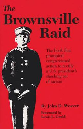 Cover image for Brownsville Raid