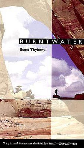 Cover image for Burntwater