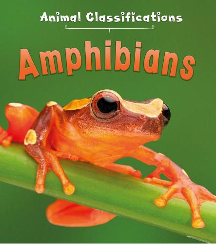 Cover image for Amphibians