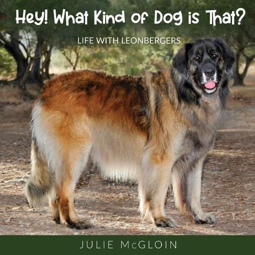 Cover image for Hey! What Kind of Dog is That?: Life With Leonbergers