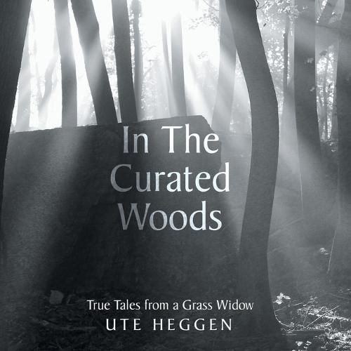 Cover image for In the Curated Woods