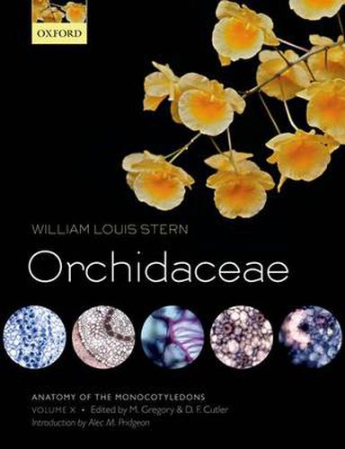 Cover image for Anatomy of the Monocotyledons Volume X: Orchidaceae