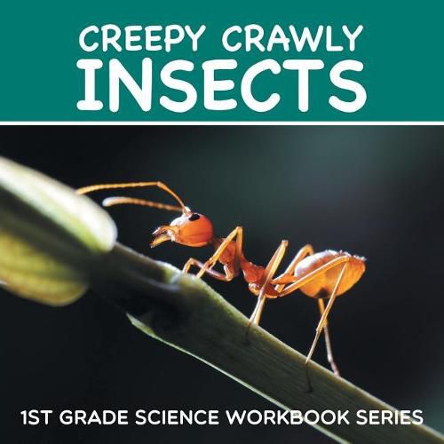Cover image for Creepy Crawly Insects: 1st Grade Science Workbook Series