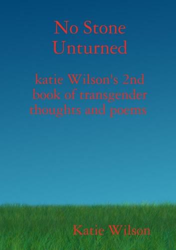 Cover image for No Stone Unturned