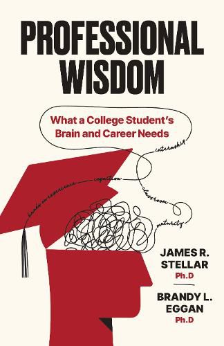 Cover image for Professional Wisdom