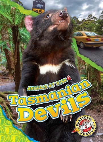 Cover image for Tasmanian Devils