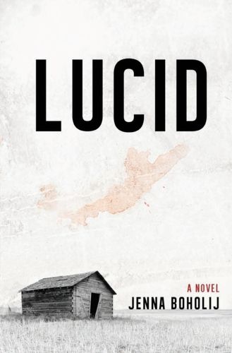 Cover image for Lucid