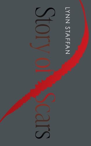 Cover image for Story of Scars