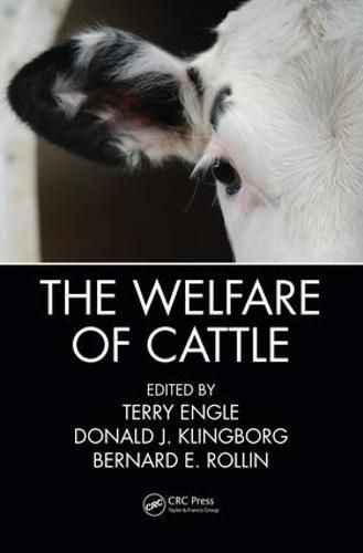 Cover image for The Welfare of Cattle