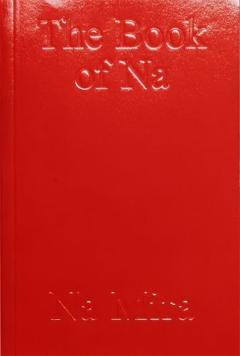 Cover image for Book of Na