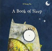 Cover image for A Book of Sleep