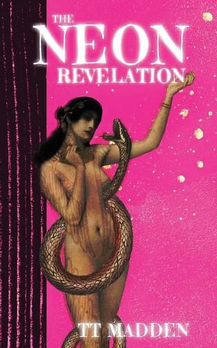 Cover image for The Neon Revelation