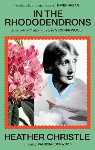 Cover image for In the Rhododendrons