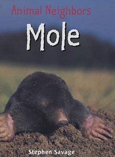 Mole