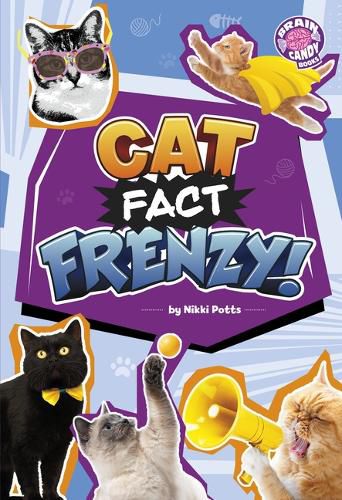Cover image for Cat Fact Frenzy!