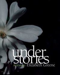 Cover image for Understories