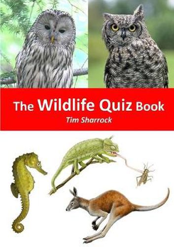 Cover image for Wildlife Quiz Book, the