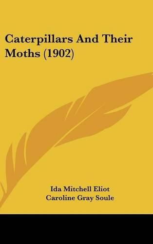 Cover image for Caterpillars and Their Moths (1902)