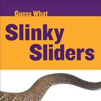 Cover image for Slinky Sliders: Rattlesnake