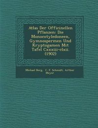 Cover image for Atlas Der Officinellen Pflanzen: Die Monocotyledoneen, Gymnospermen Und Kryptogamen Mit Tafel CXXXIII-CLXII. (1902)