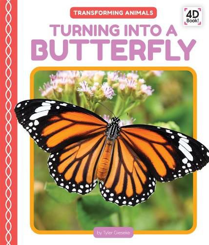 Cover image for Turning Into a Butterfly