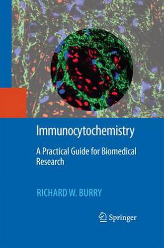 Cover image for Immunocytochemistry: A Practical Guide for Biomedical Research