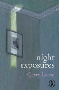 Cover image for night exposures