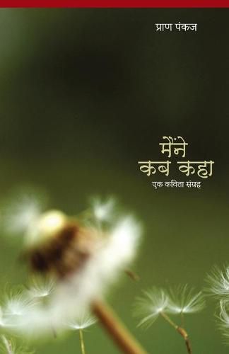 Cover image for Maine Kab Kaha