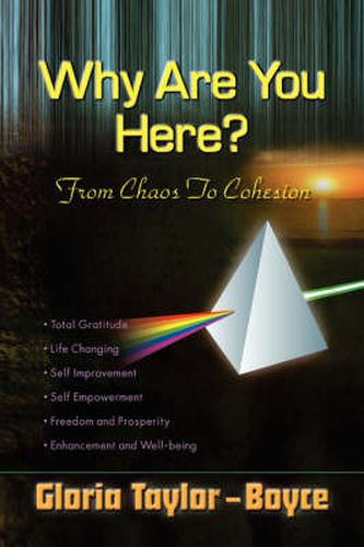 Cover image for Why Are You Here?