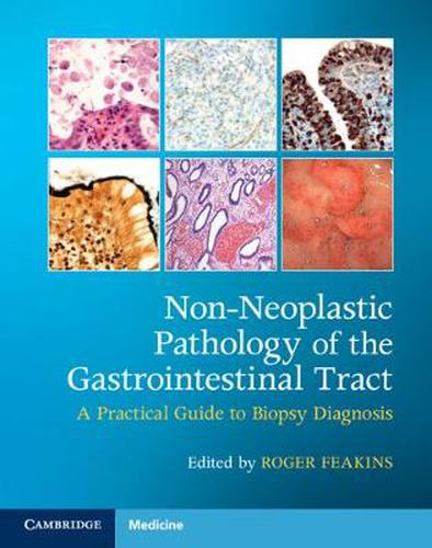 Cover image for Non-Neoplastic Pathology of the Gastrointestinal Tract with Online Resource: A Practical Guide to Biopsy Diagnosis