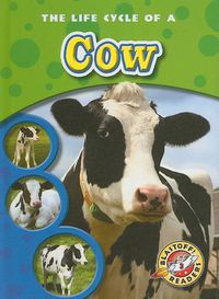 Cover image for The Life Cycle of a Cow