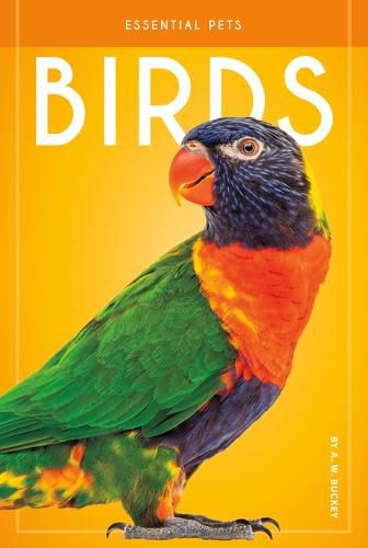 Cover image for Birds