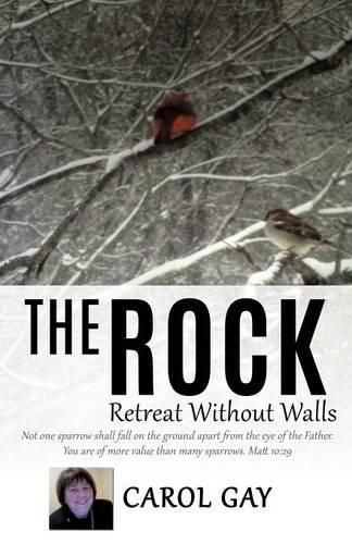 Cover image for The Rock