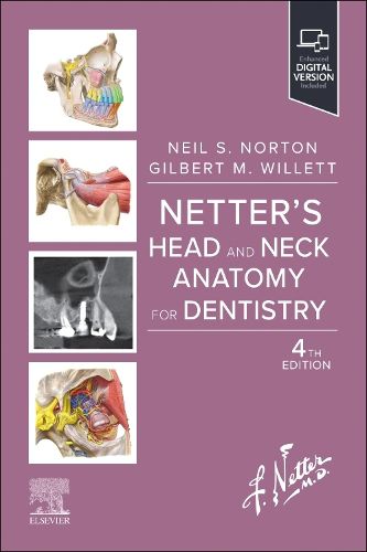 Cover image for Netter'S Head and Neck Anatomy for Dentistry