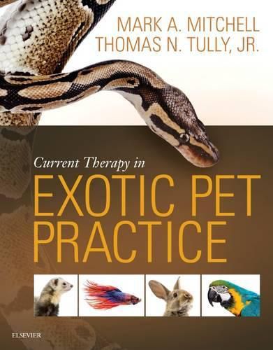 Cover image for Current Therapy in Exotic Pet Practice