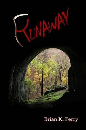 Cover image for Runaway