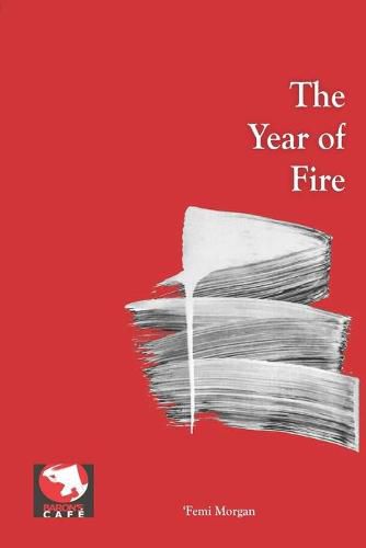 Cover image for The Year of Fire