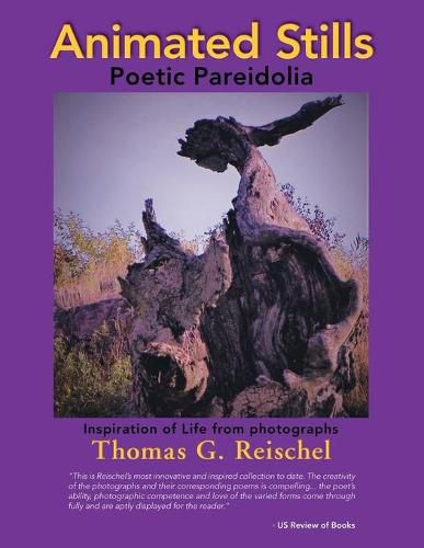 Cover image for Animated Stills: Poetic Pareidolia