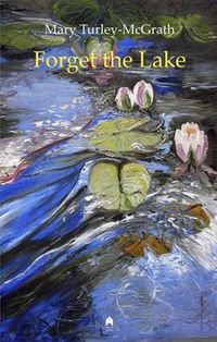 Cover image for Forget the Lake