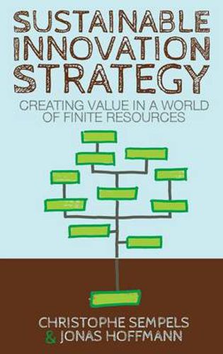 Sustainable Innovation Strategy: Creating Value in a World of Finite Resources