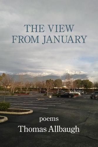 Cover image for The View from January